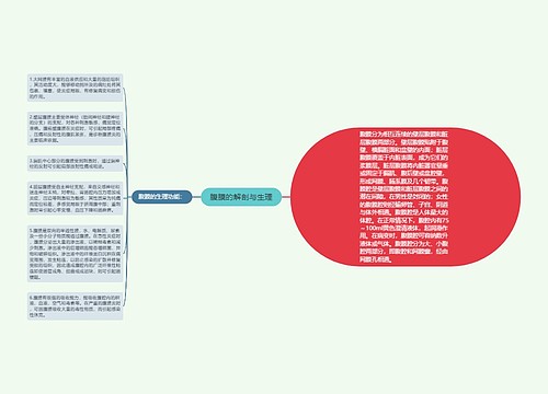 腹膜的解剖与生理