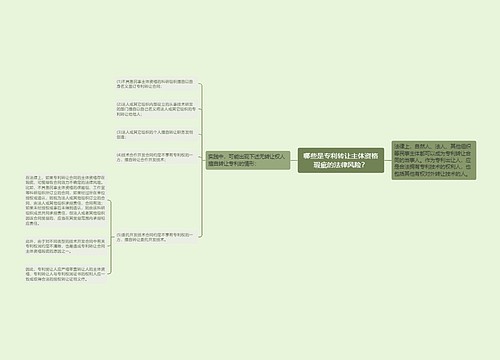 哪些是专利转让主体资格瑕疵的法律风险？