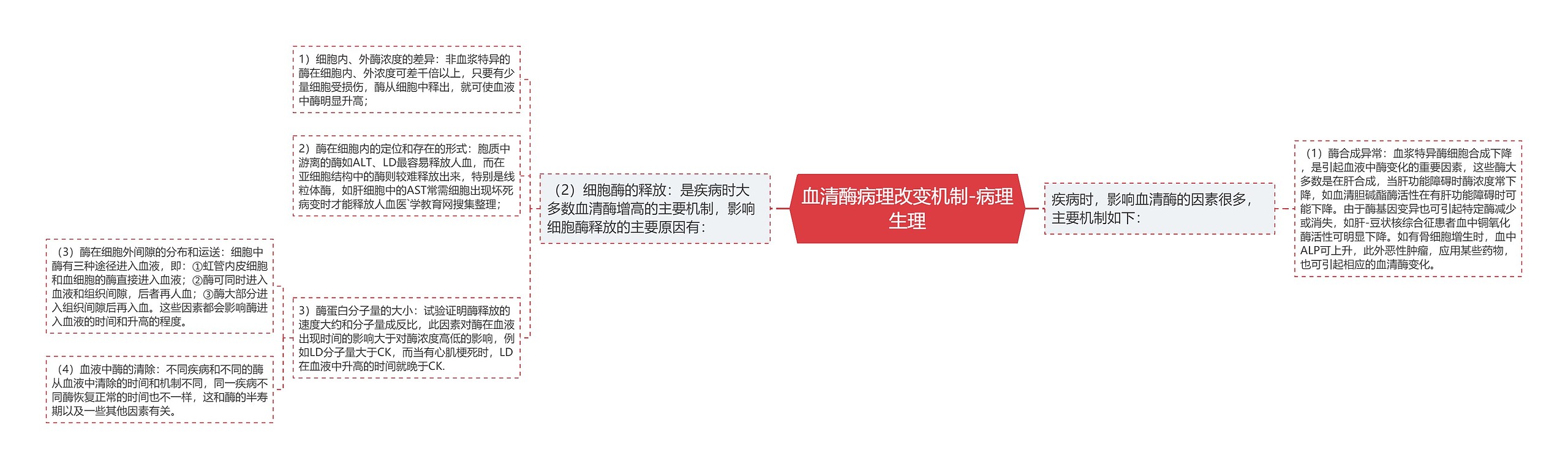 血清酶病理改变机制-病理生理 血清酶病理改变机制-病理生理