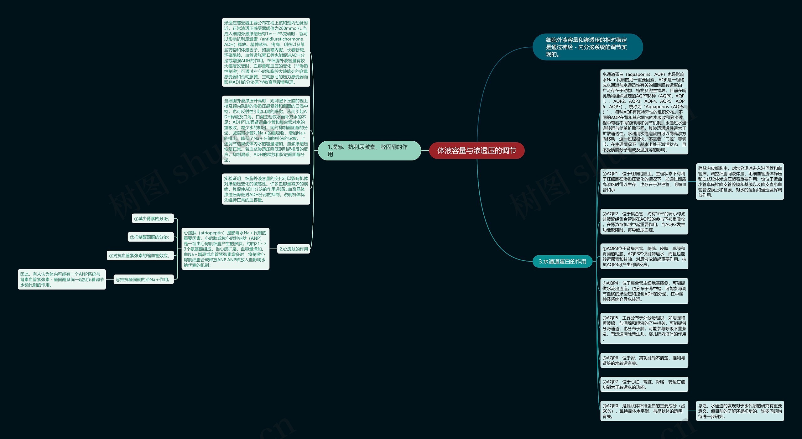 体液容量与渗透压的调节思维导图