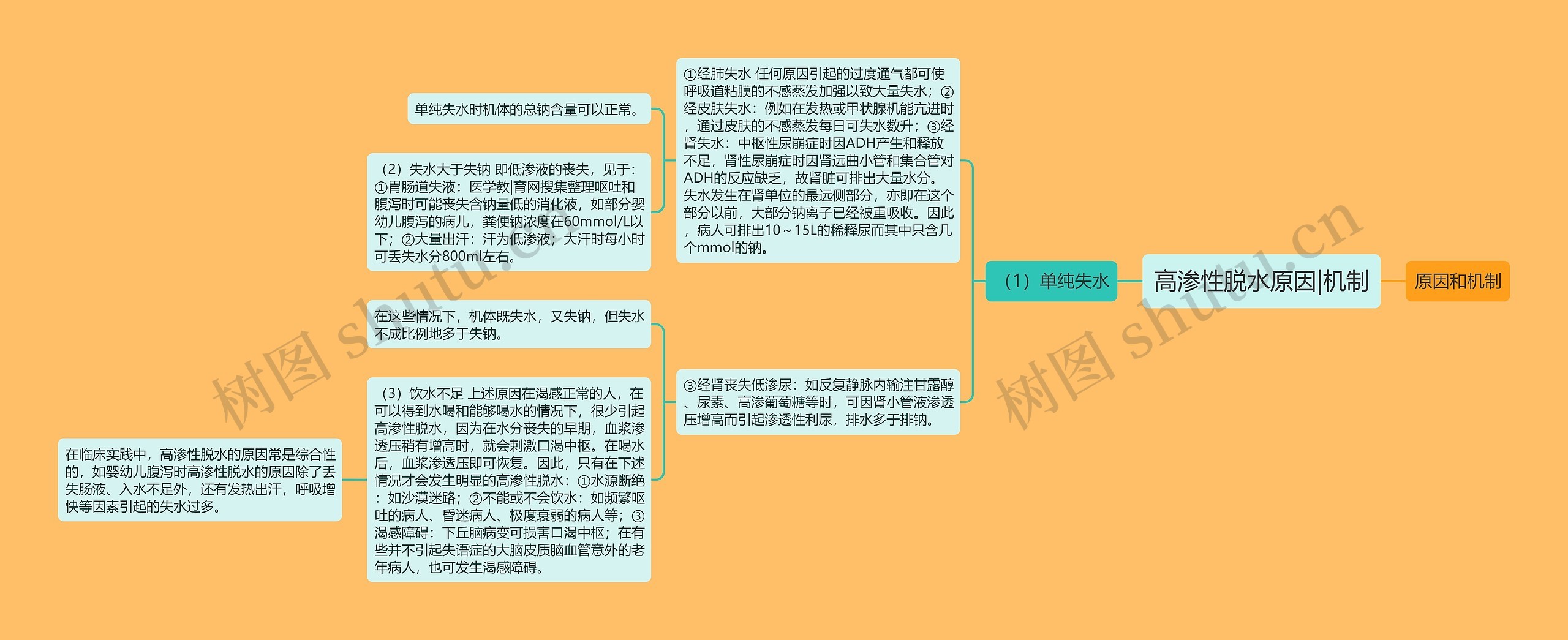 高渗性脱水原因|机制 高渗性脱水原因|机制