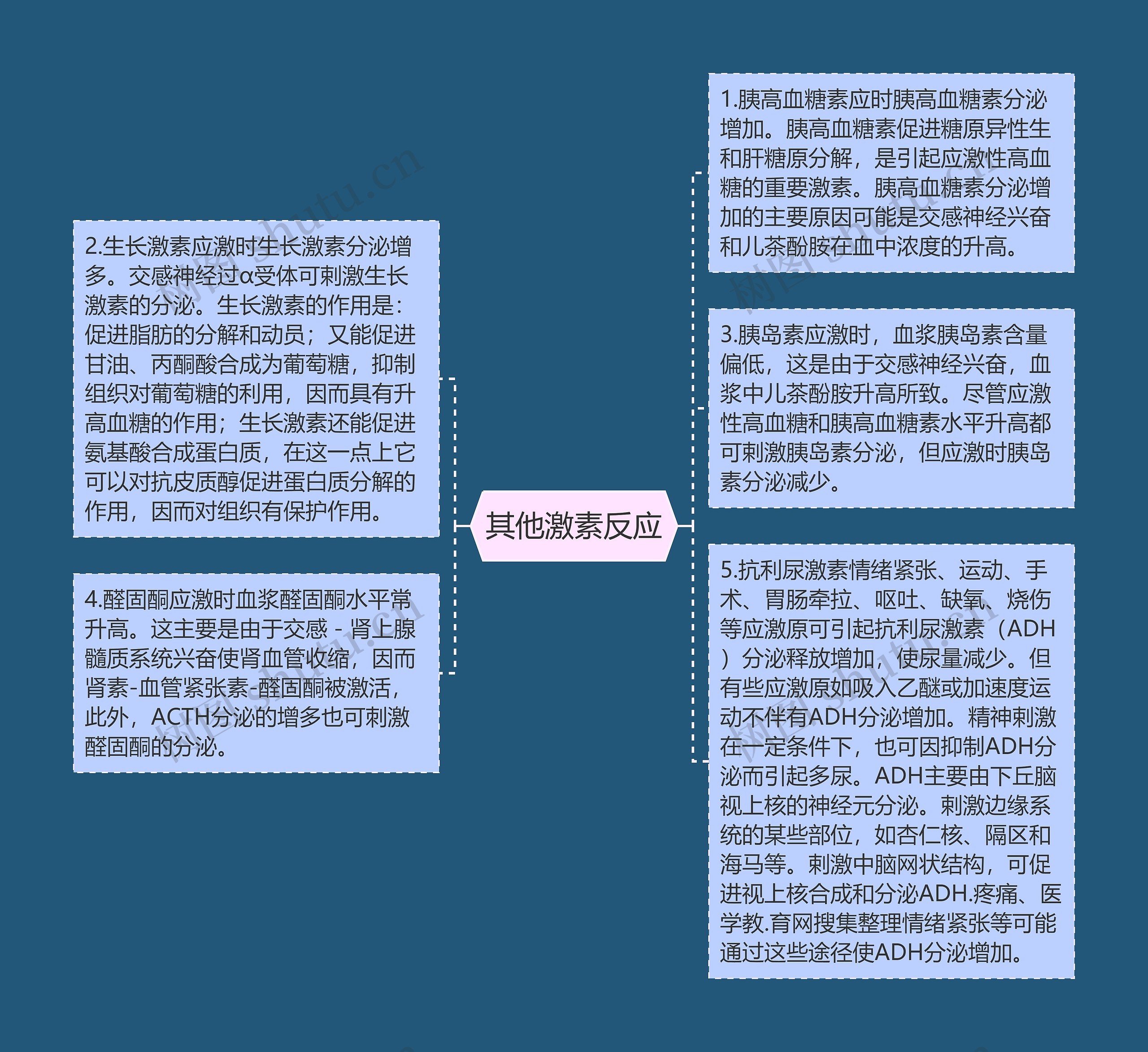 其他激素反应