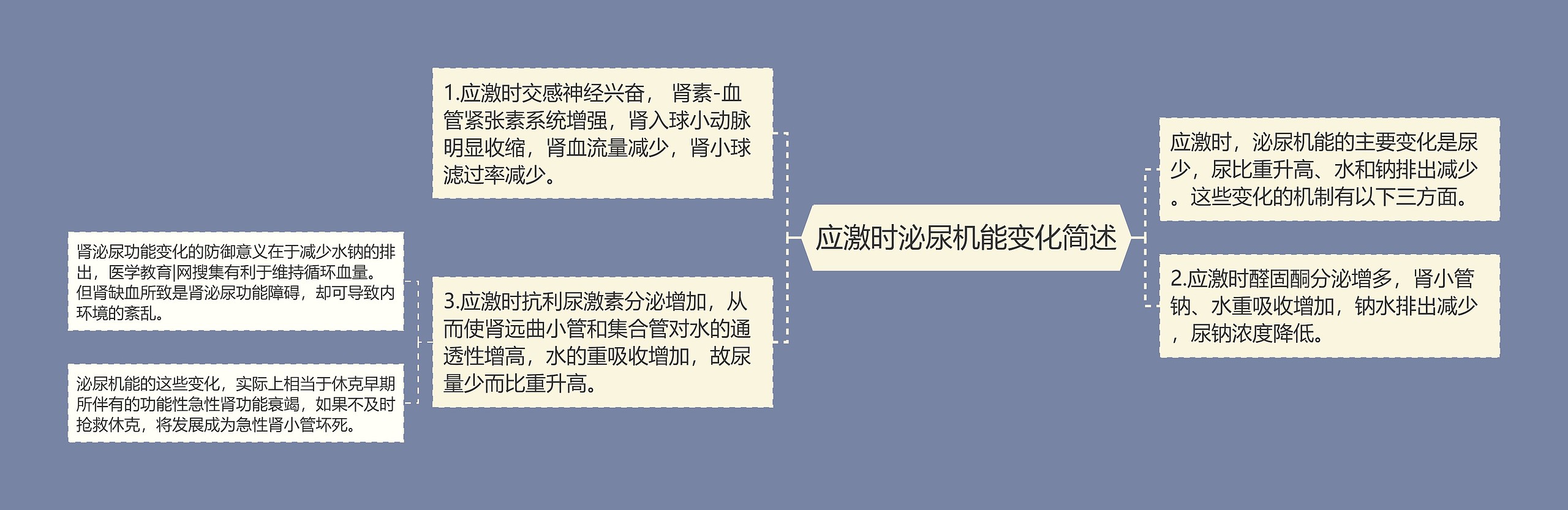 应激时泌尿机能变化简述 应激时泌尿机能变化简述