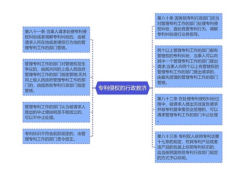 专利侵权的行政救济