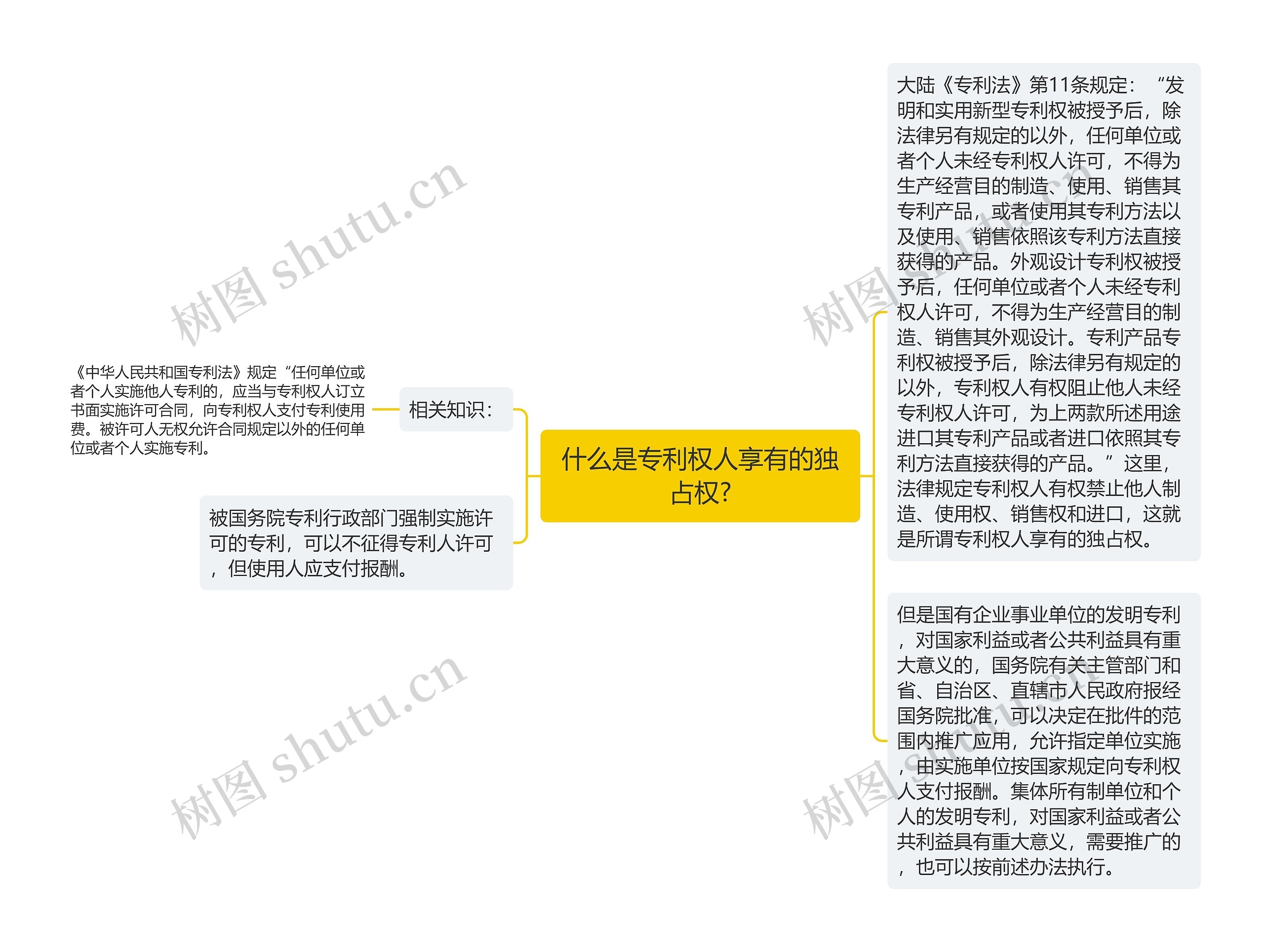 什么是专利权人享有的独占权?思维导图