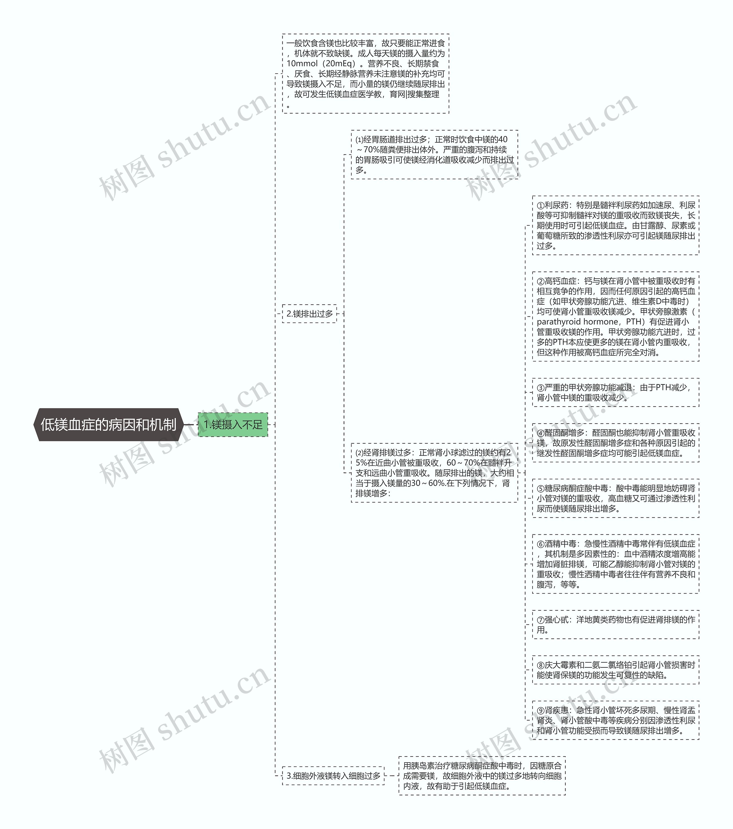 低镁血症的病因和机制思维导图