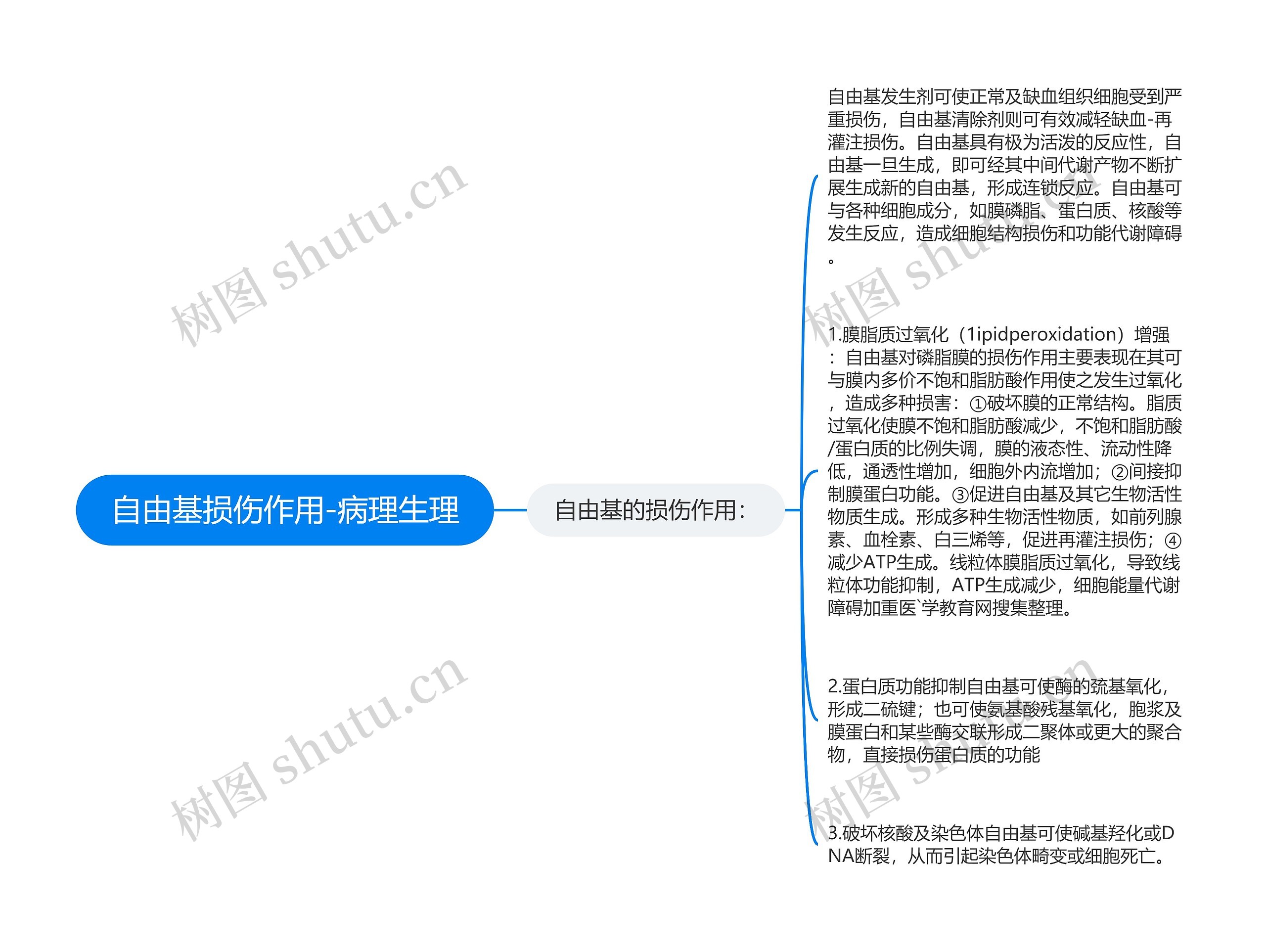 自由基损伤作用-病理生理思维导图