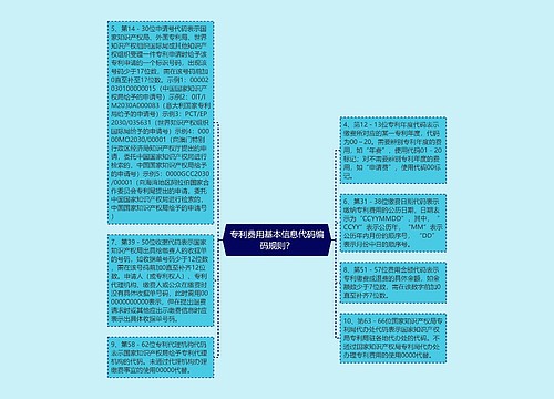 专利费用基本信息代码编码规则？