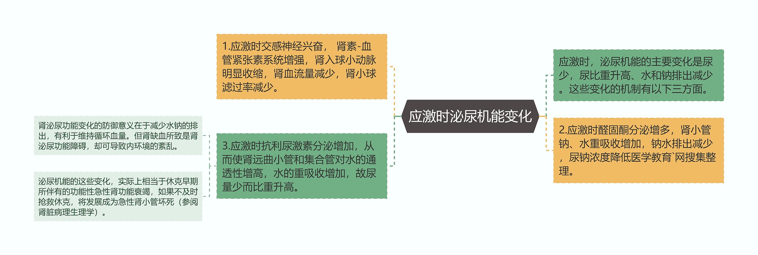 应激时泌尿机能变化思维导图