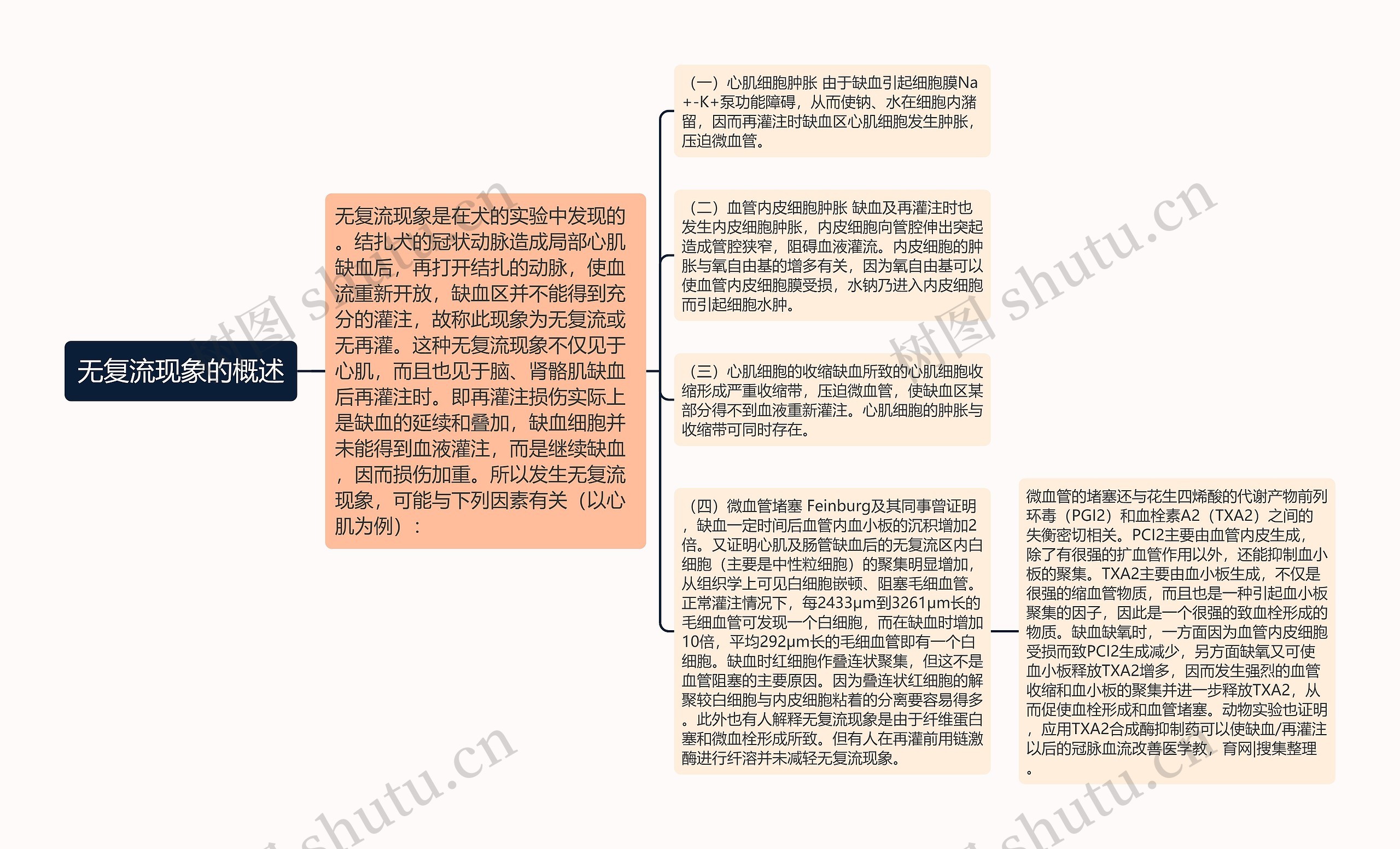 无复流现象的概述思维导图高清图 无复流现象的概述思维导图