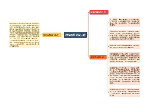 腹膜的解剖及生理