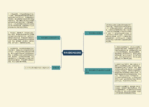 专利侵权判定原则