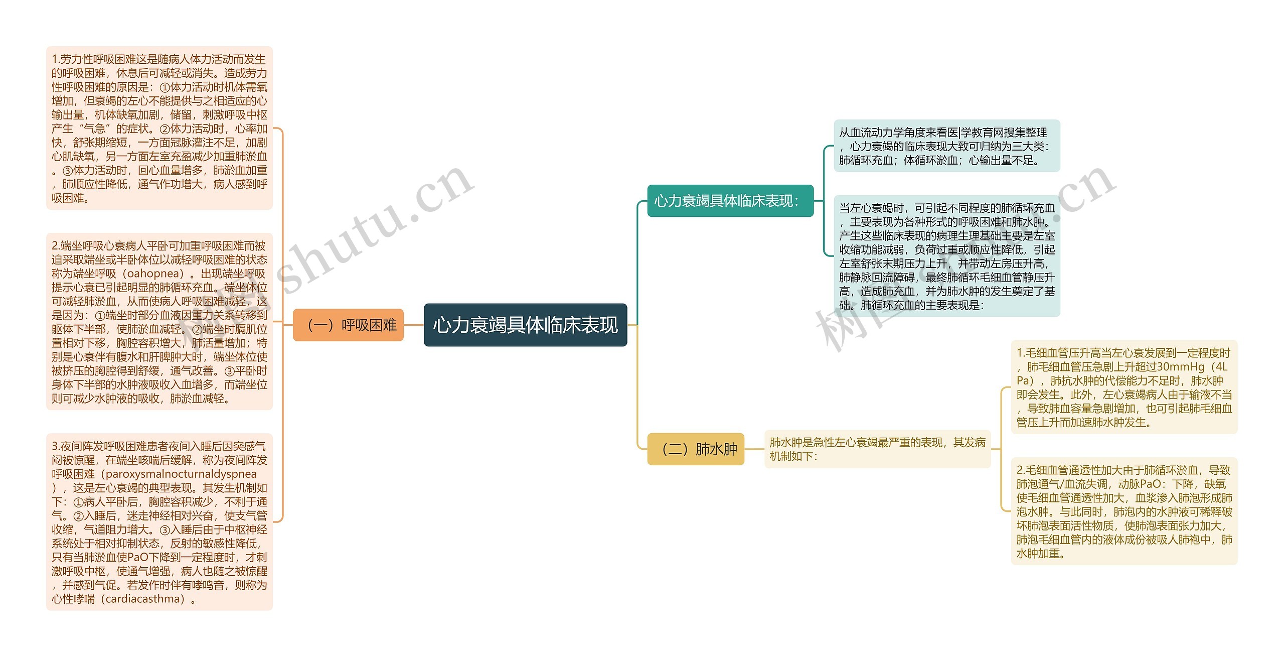 心力衰竭具体临床表现