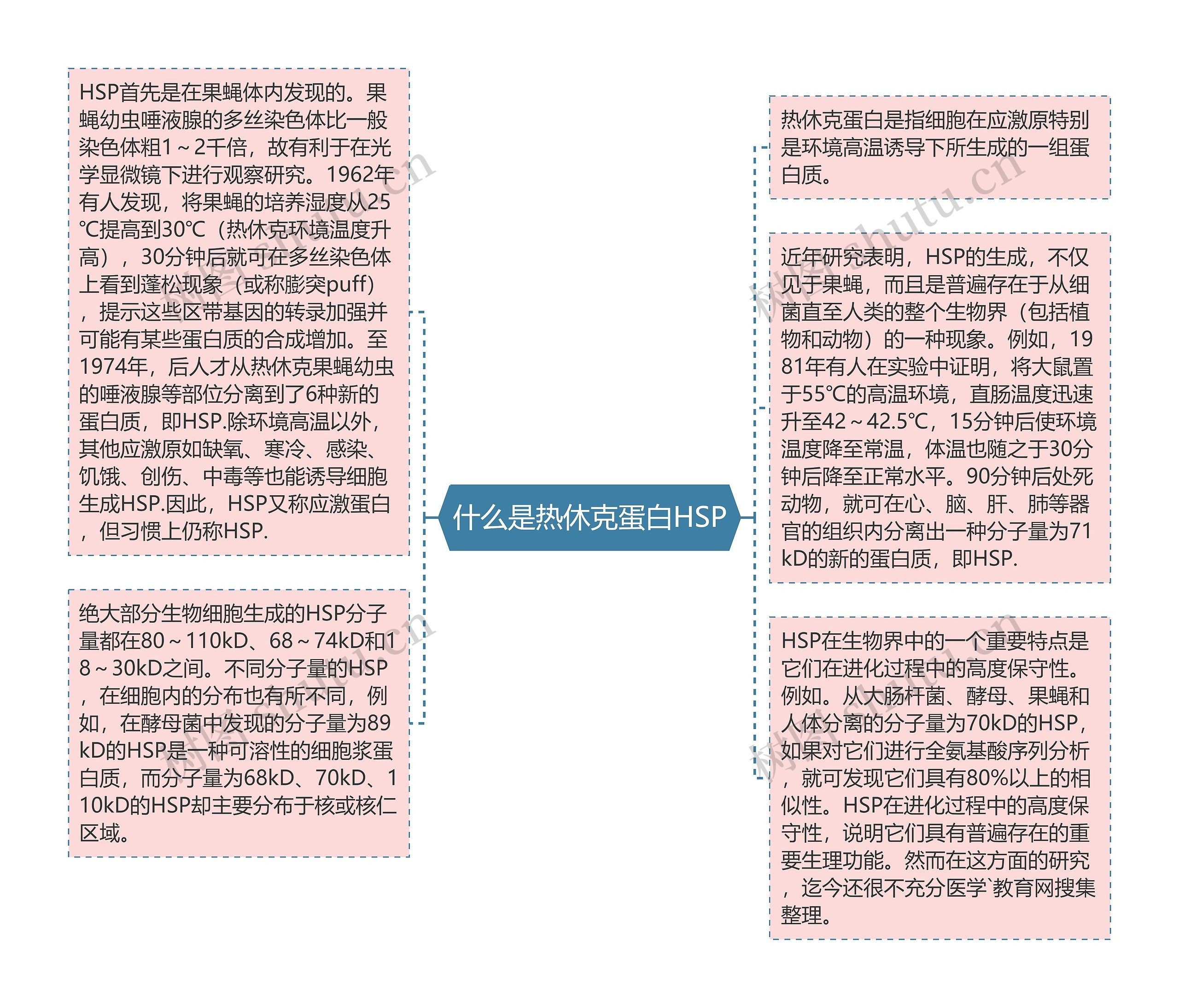 什么是热休克蛋白HSP思维导图