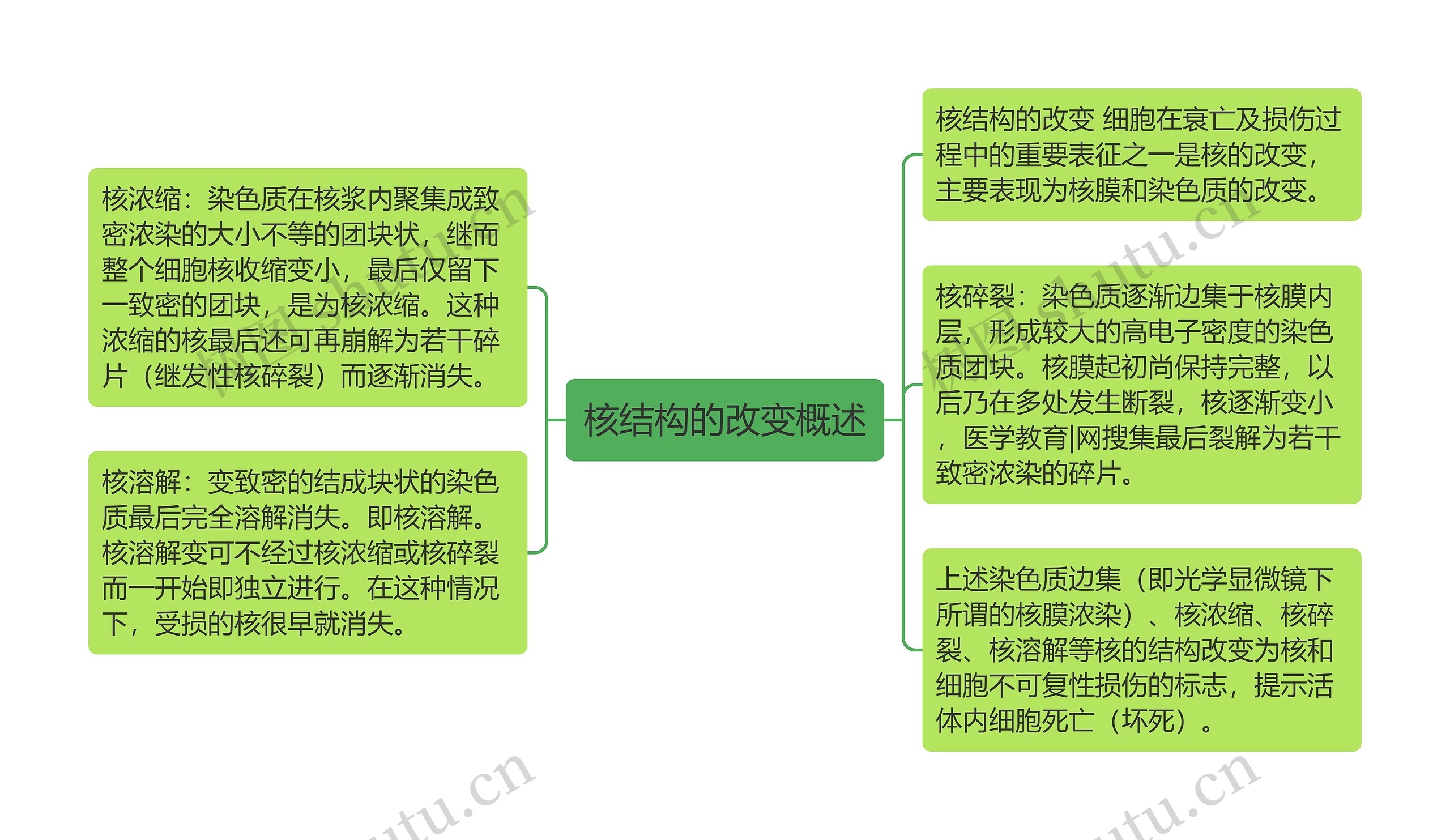 核结构的改变概述思维导图