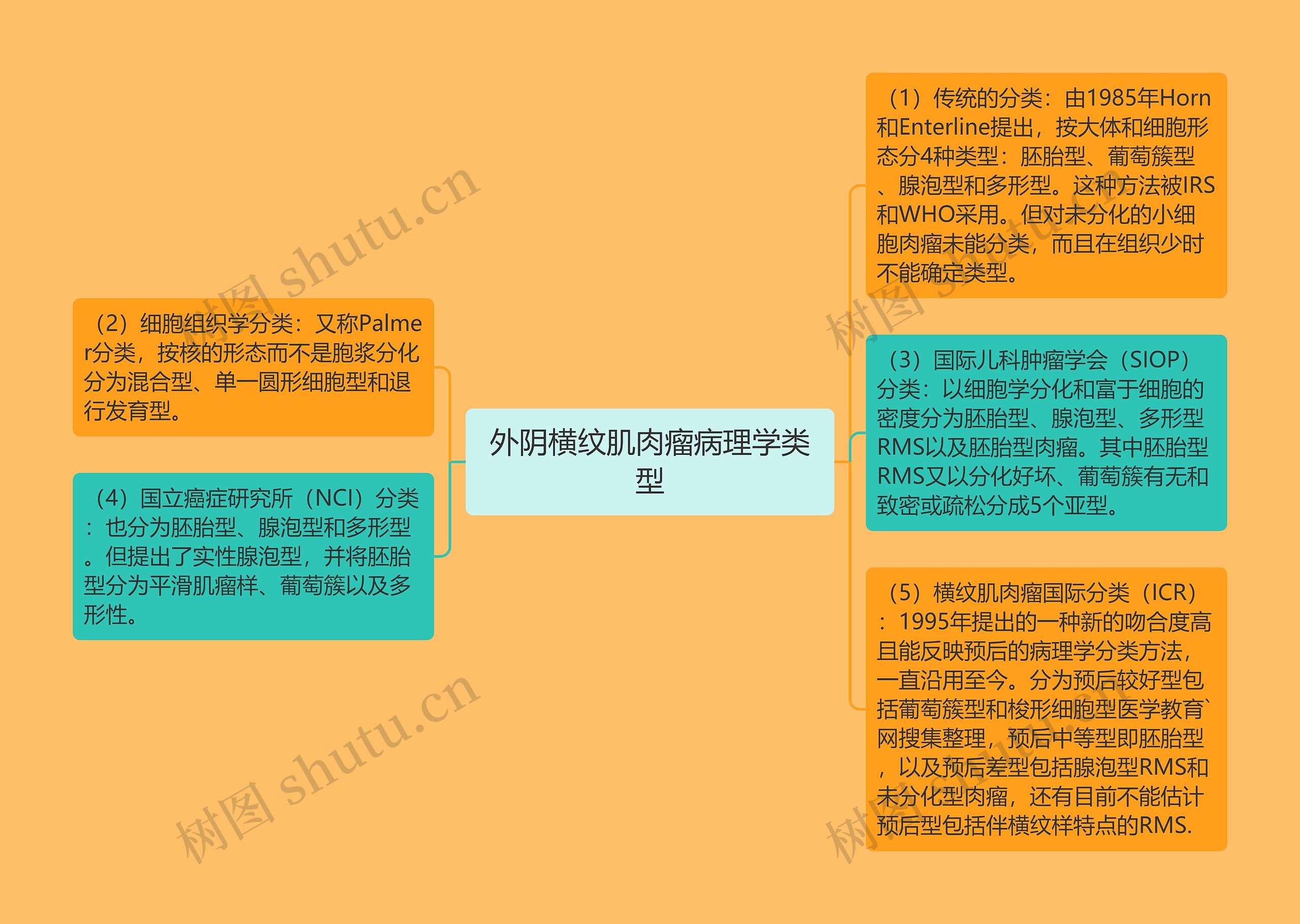 外阴横纹肌肉瘤病理学类型思维导图