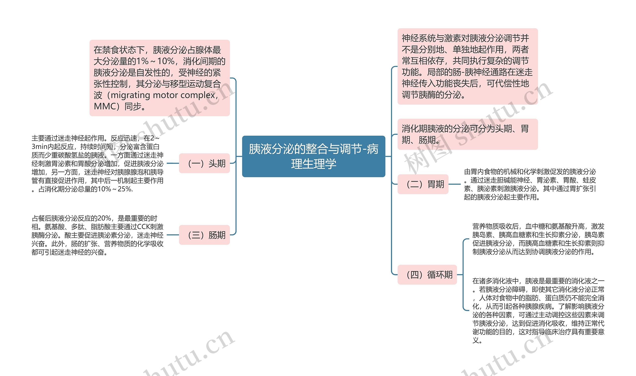 胰液分泌的整合与调节-病理生理学思维导图