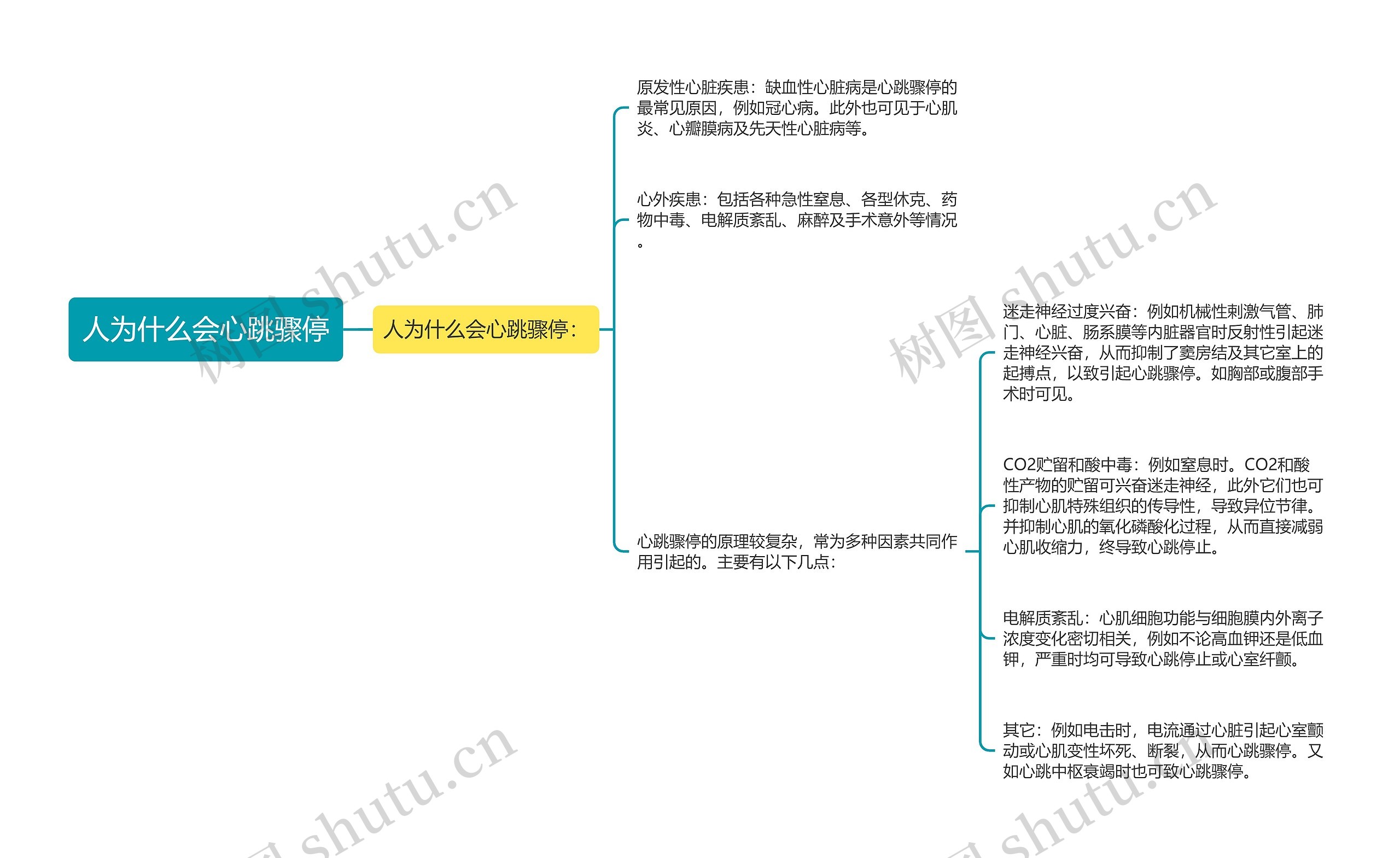 人为什么会心跳骤停思维导图