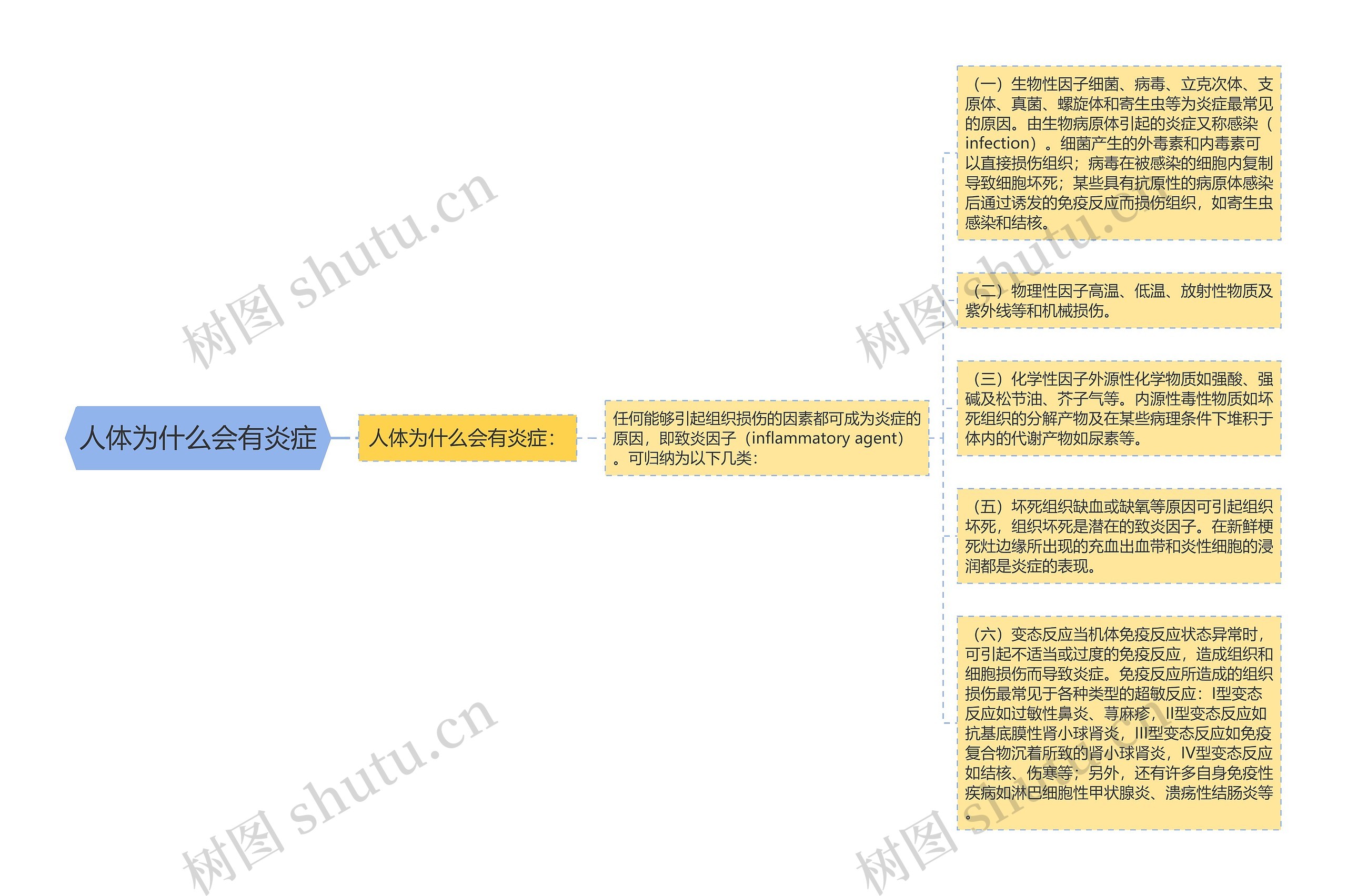 人体为什么会有炎症思维导图