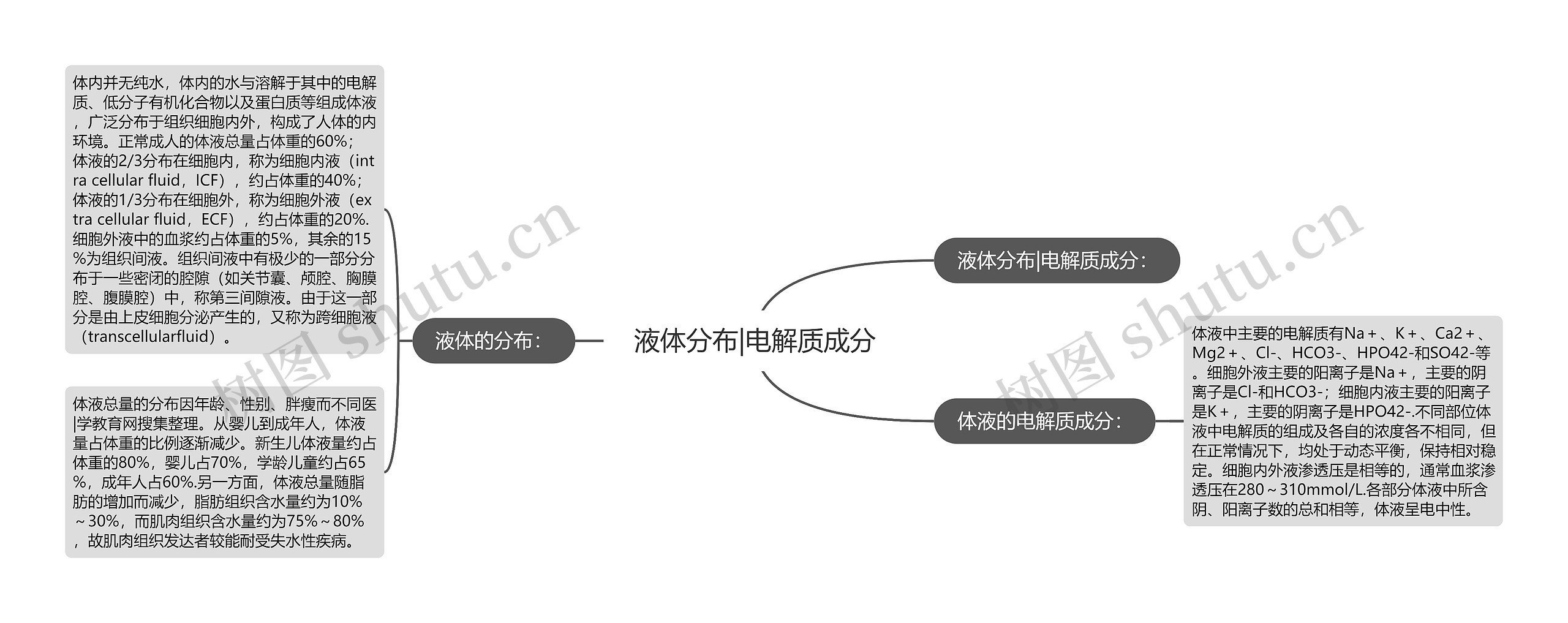 液体分布|电解质成分思维导图