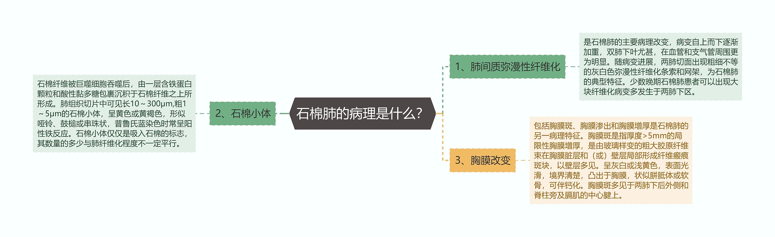 石棉肺的病理是什么？思维导图