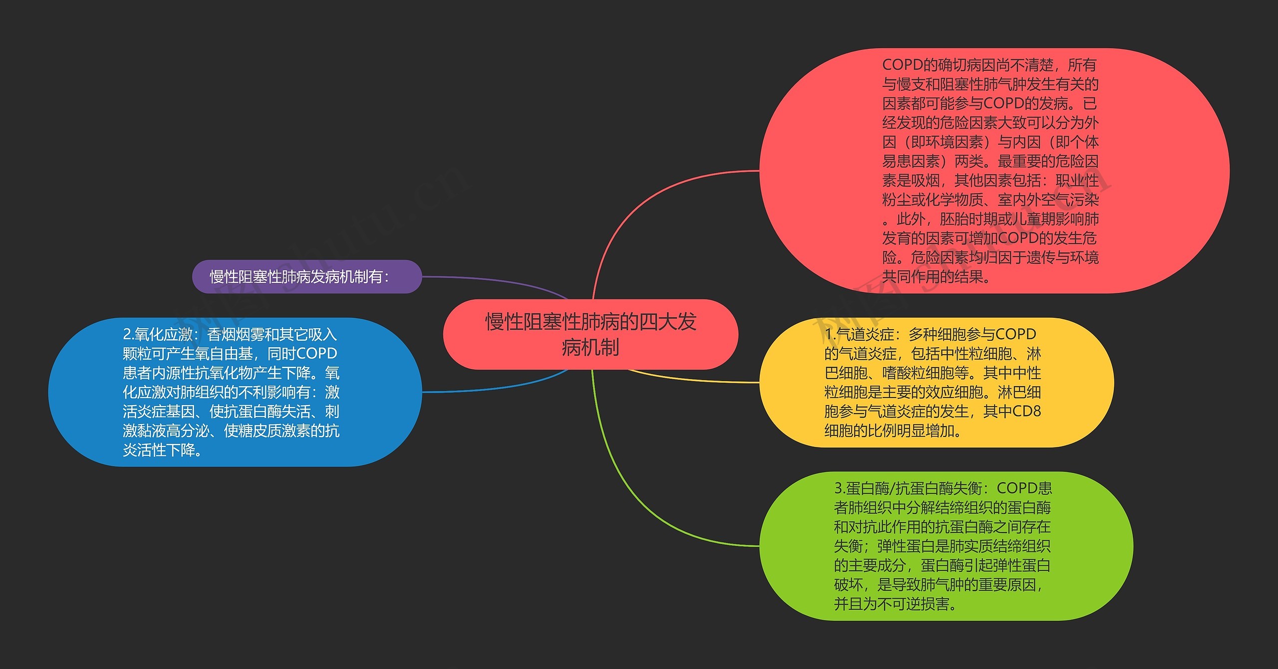 慢性阻塞性肺病的四大发病机制思维导图