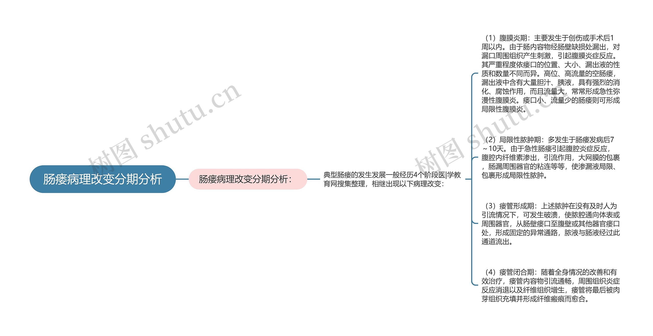 肠瘘病理改变分期分析