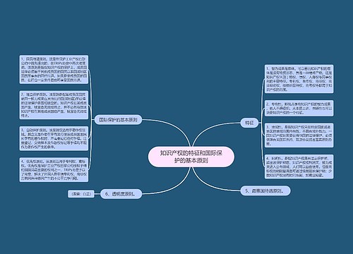 知识产权的特征和国际保护的基本原则