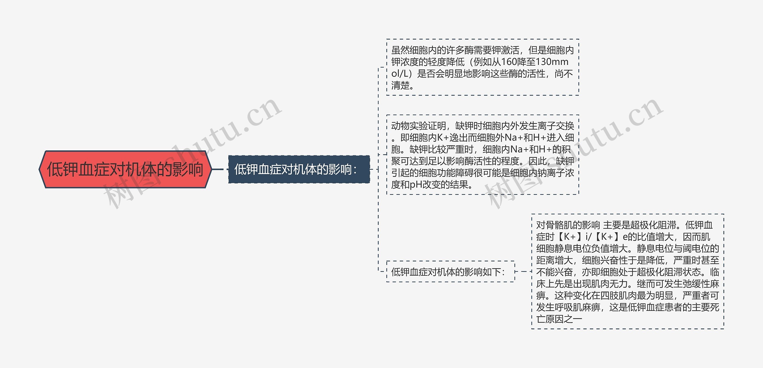 低钾血症对机体的影响思维导图