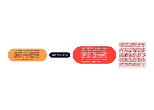 专利权人的限制