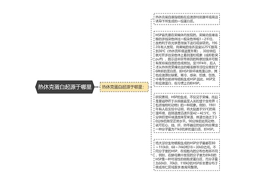 热休克蛋白起源于哪里