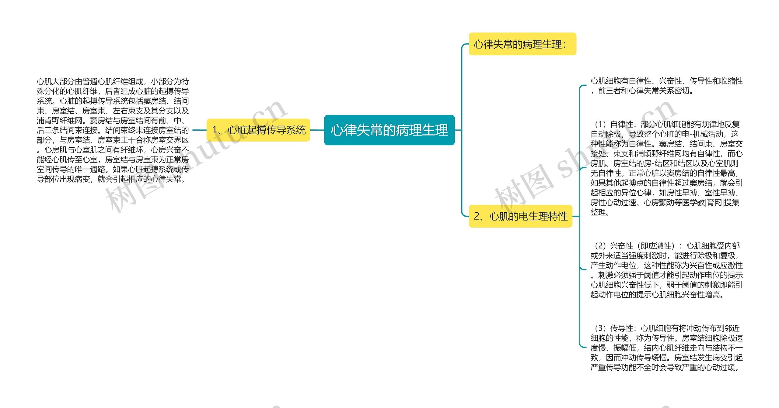 心律失常的病理生理思维导图