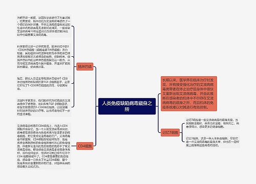 人类免疫缺陷病毒藏身之所