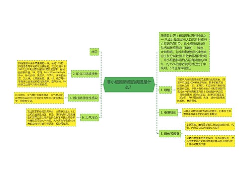 非小细胞肺癌的病因是什么？