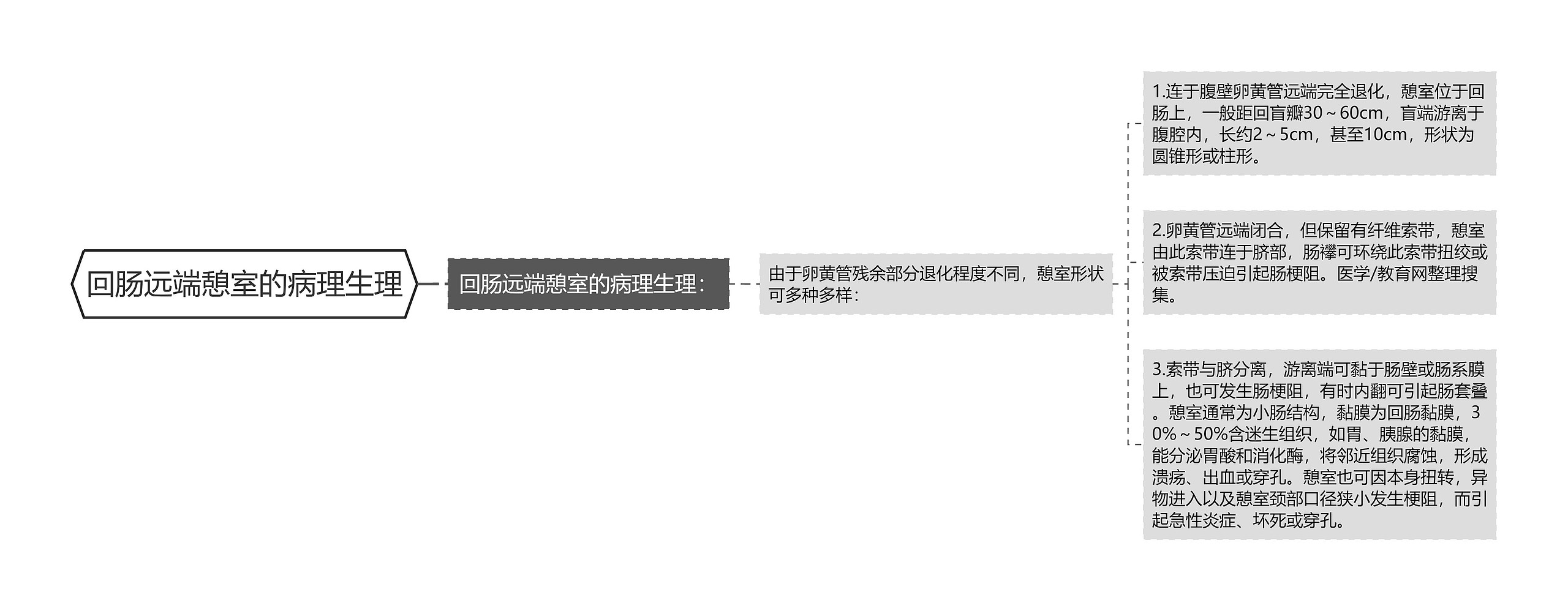 回肠远端憩室的病理生理 回肠远端憩室的病理生理