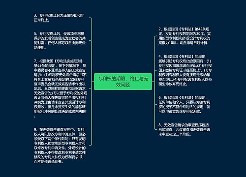 专利权的期限、终止与无效问题