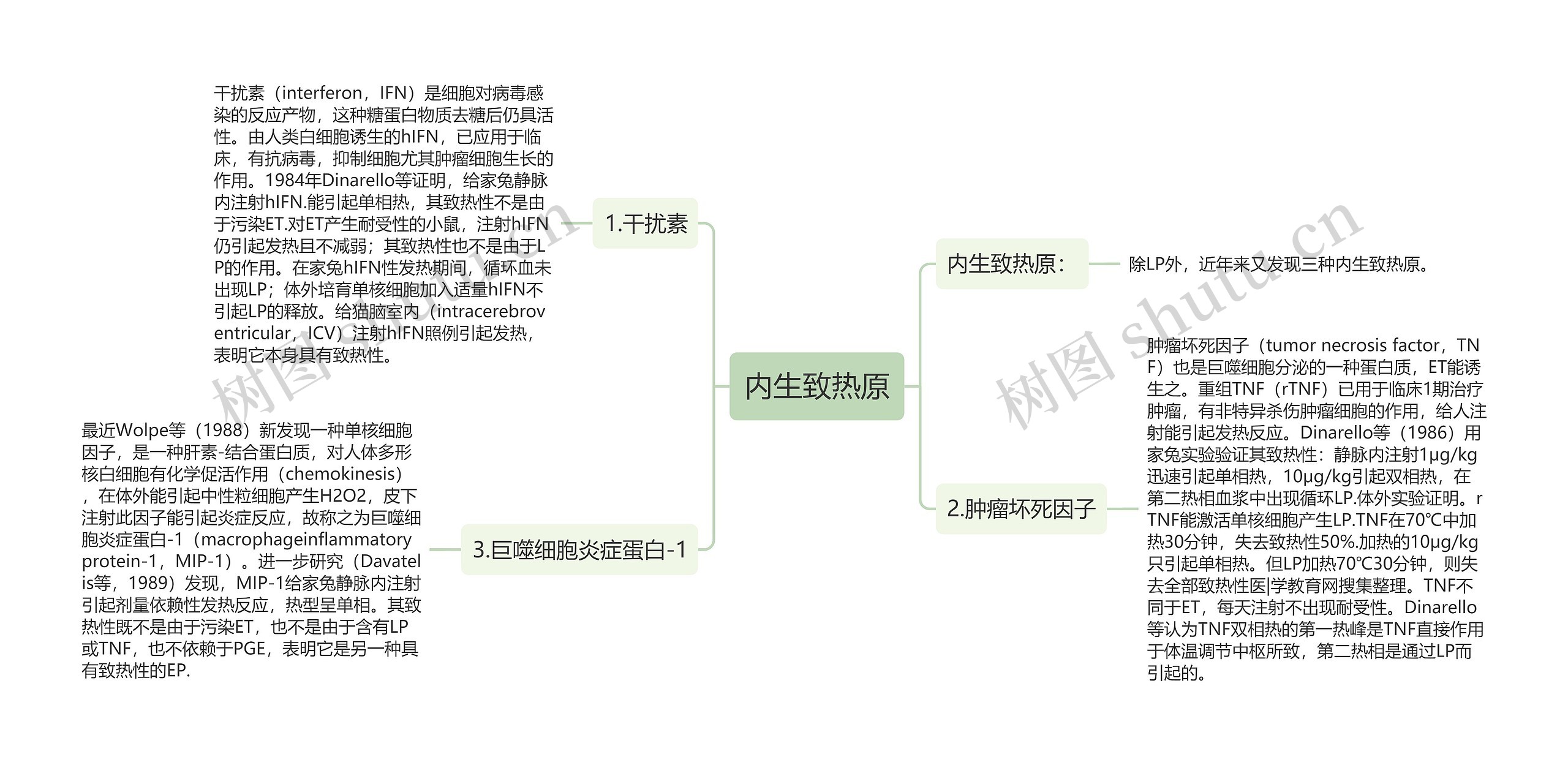 内生致热原思维导图