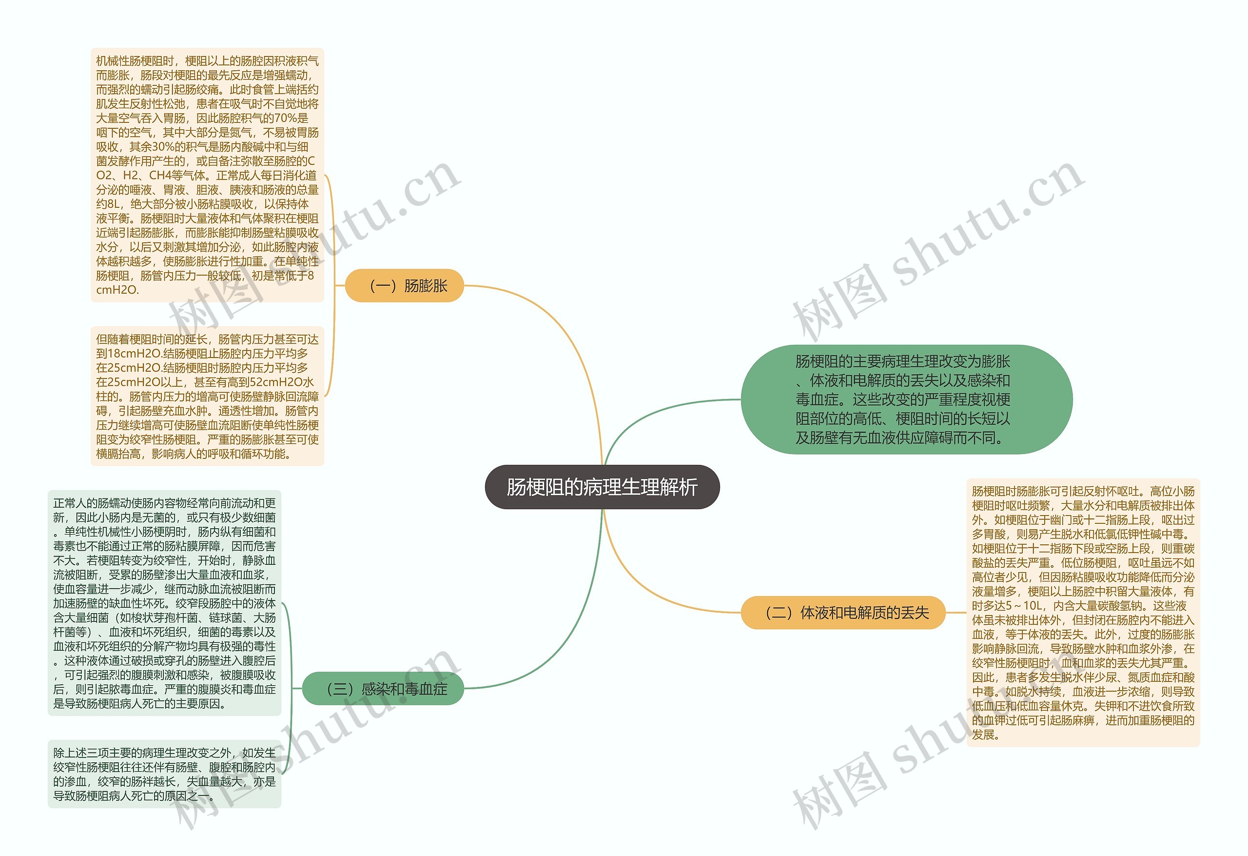 肠梗阻的病理生理解析思维导图