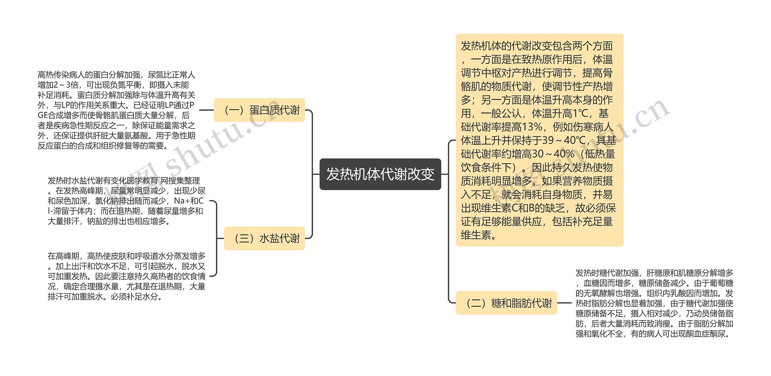 发热机体代谢改变思维导图