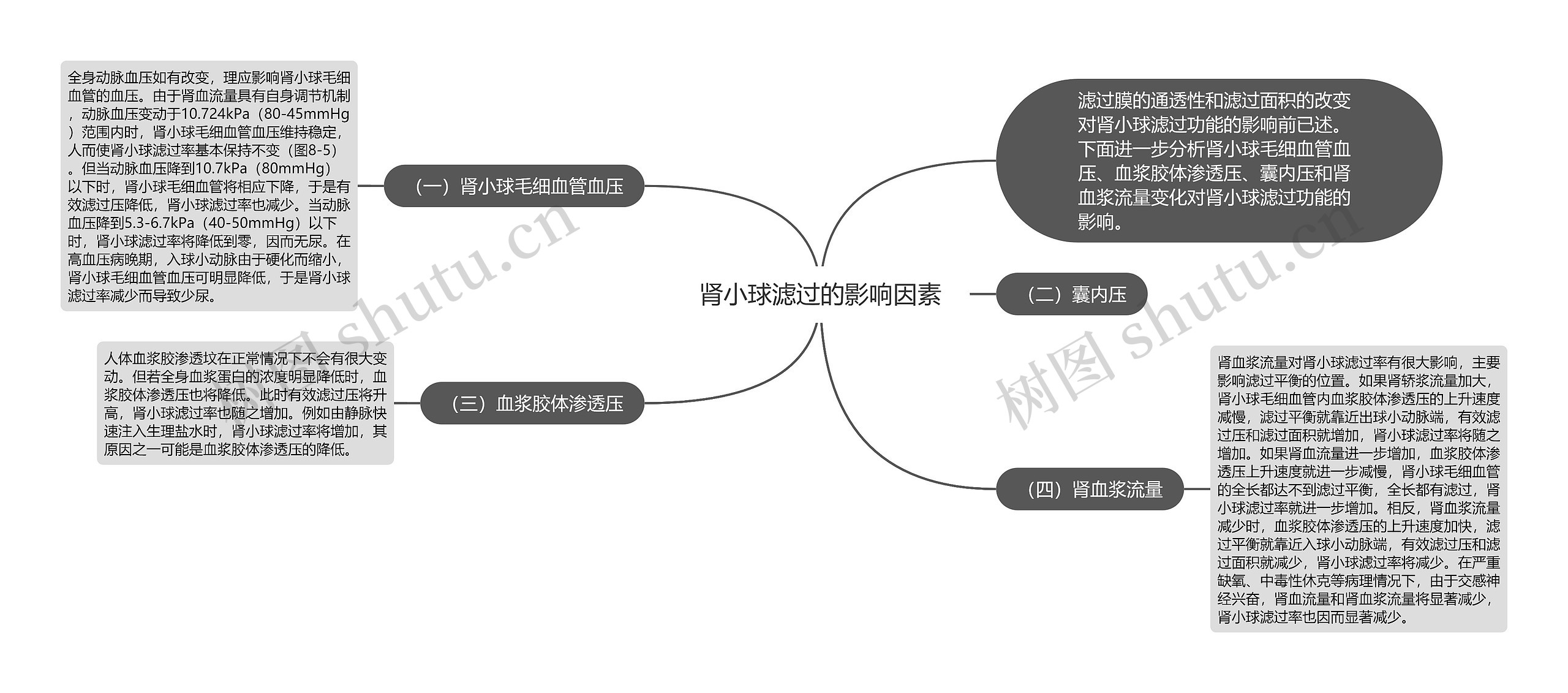 肾小球滤过的影响因素思维导图