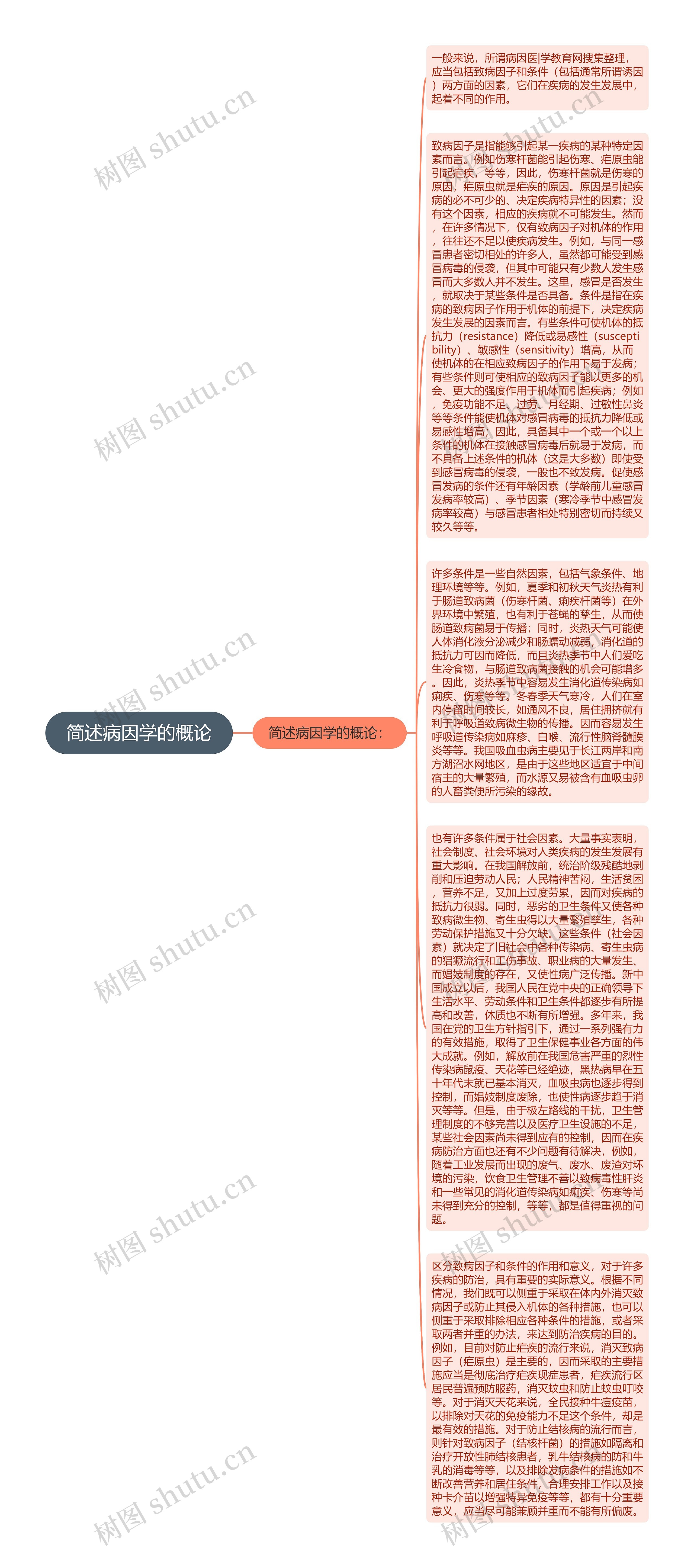 简述病因学的概论思维导图