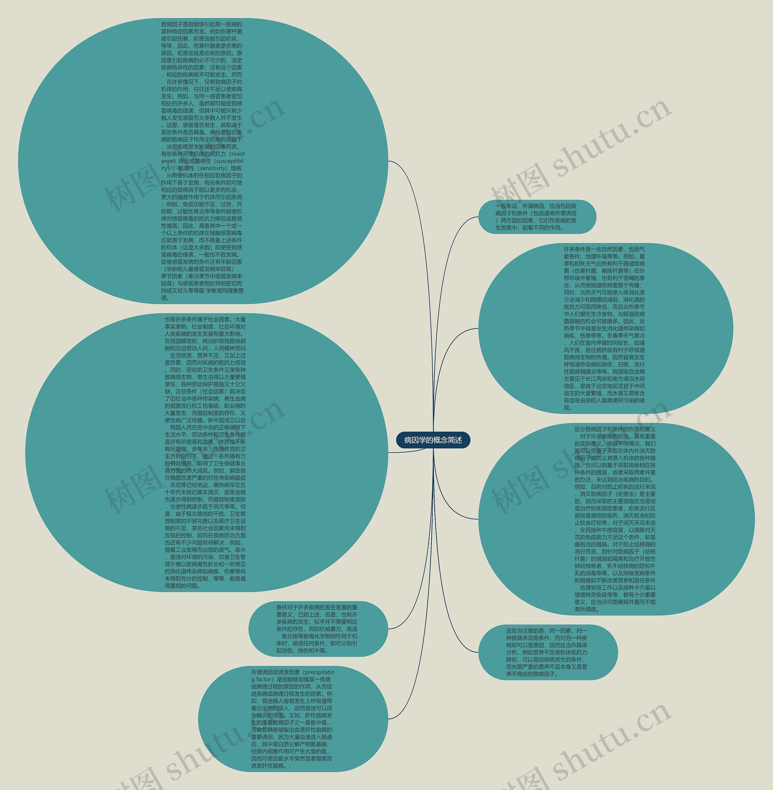 病因学的概念简述思维导图
