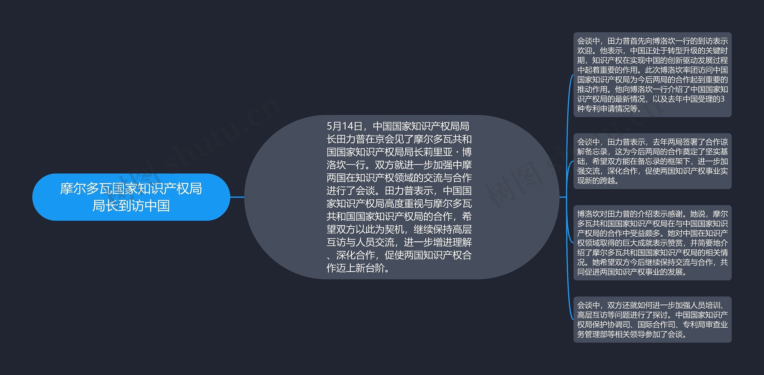 摩尔多瓦国家知识产权局局长到访中国思维导图