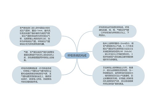 呼吸系统的构成