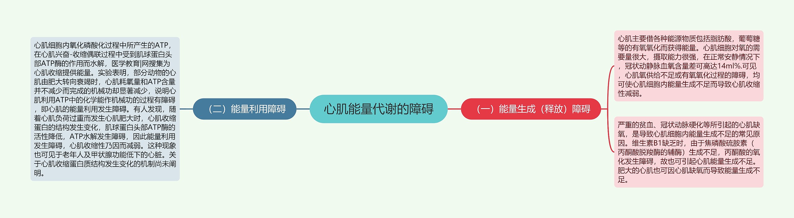 心肌能量代谢的障碍 心肌能量代谢的障碍