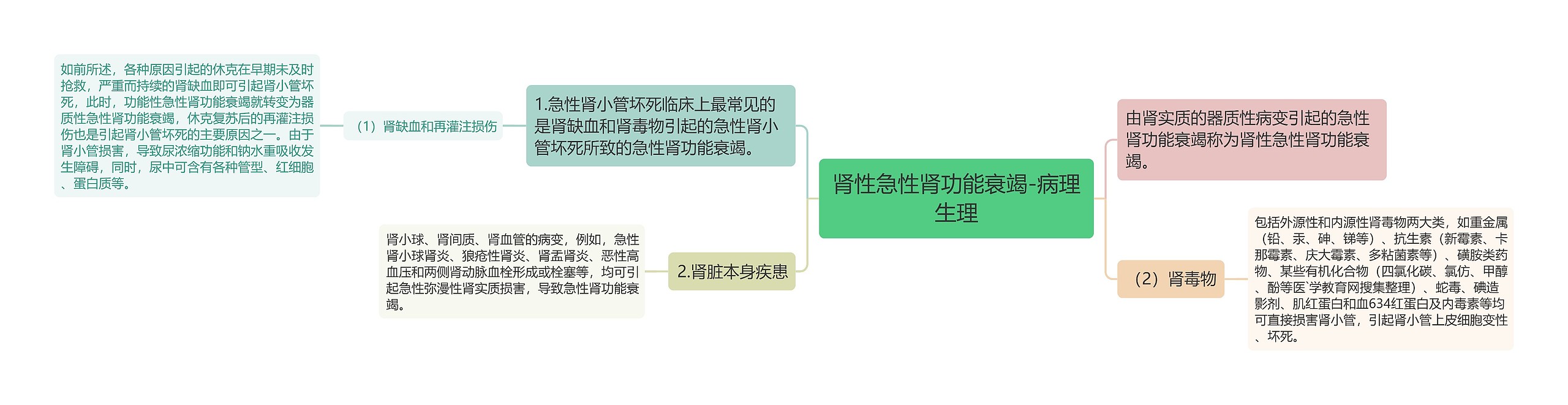 肾性急性肾功能衰竭-病理生理思维导图