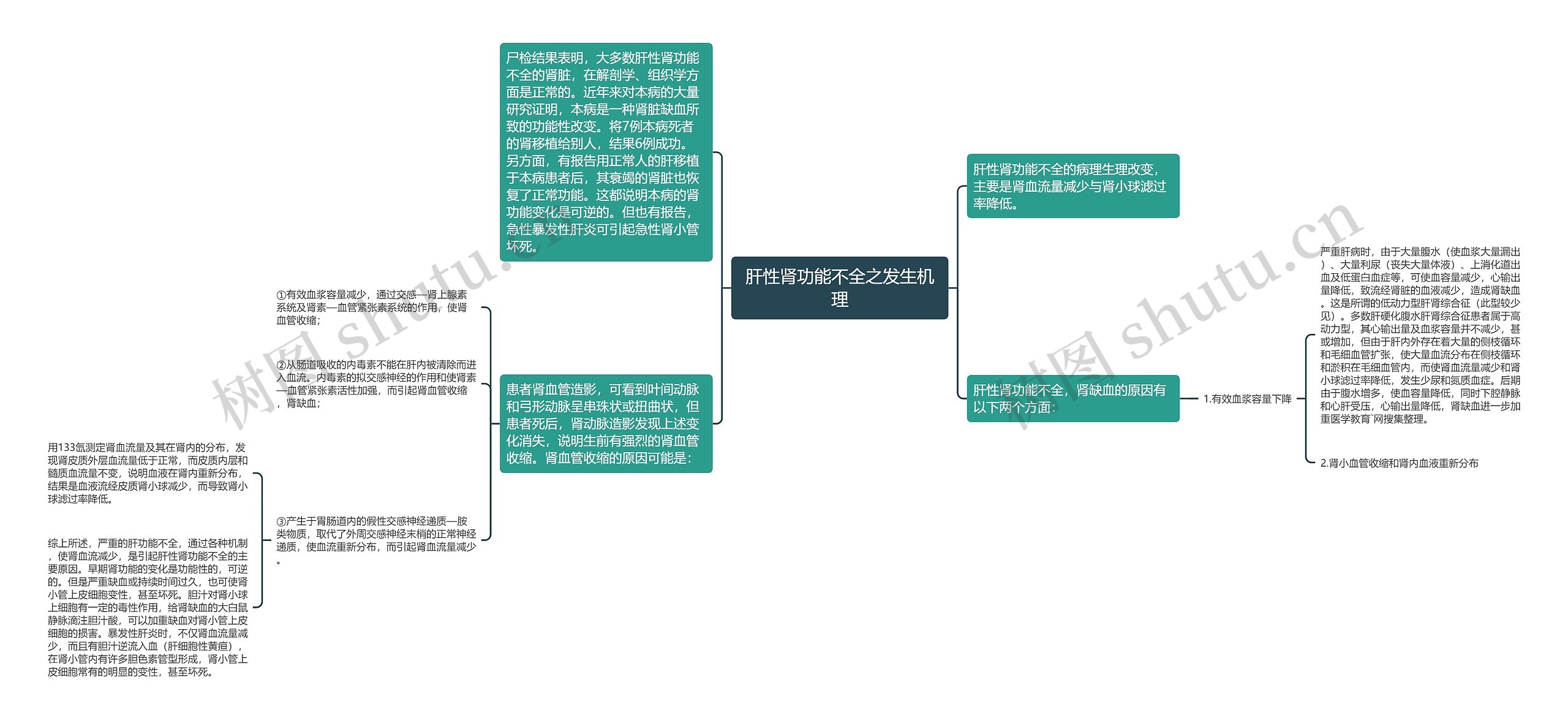 肝性肾功能不全之发生机理思维导图