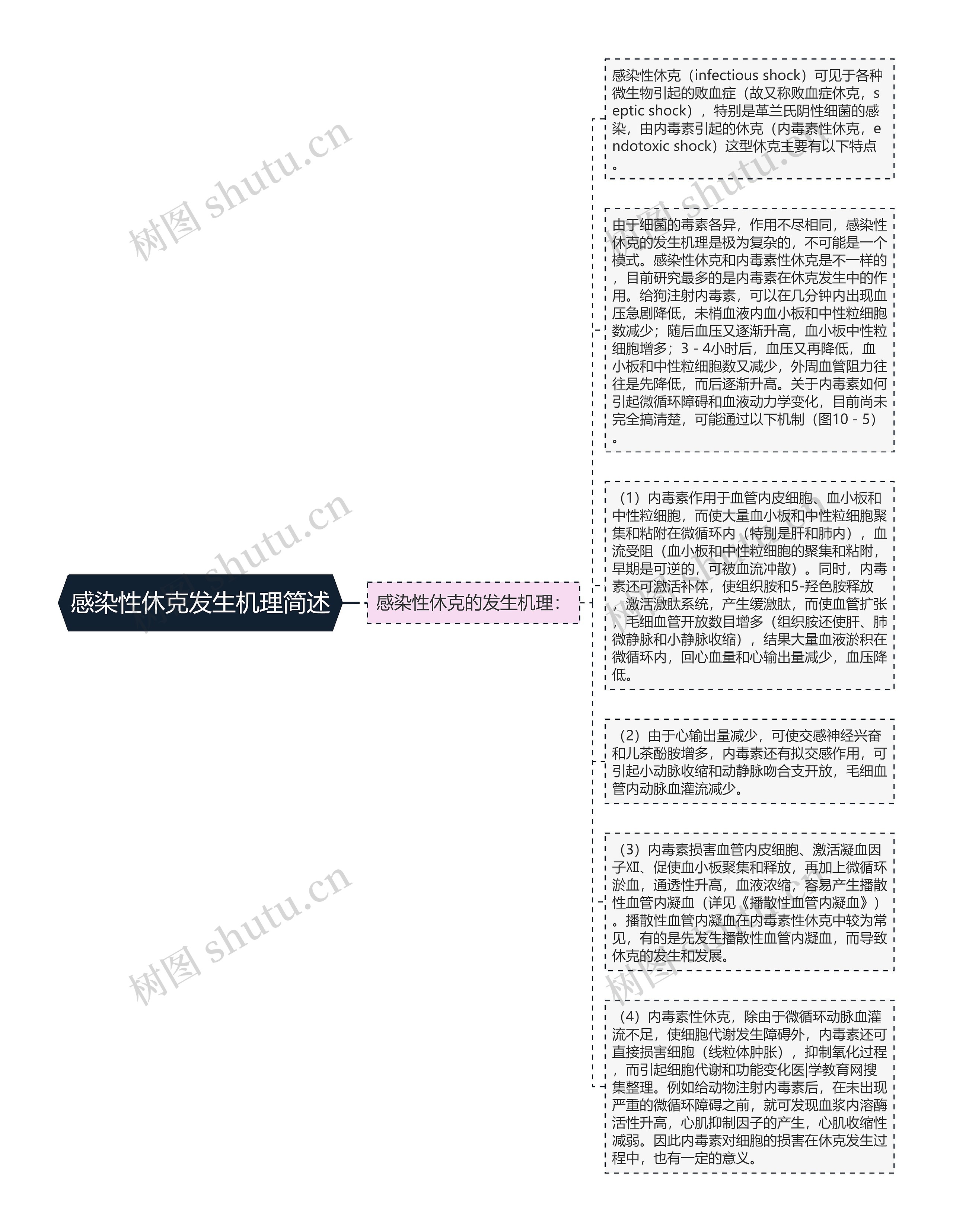 感染性休克发生机理简述