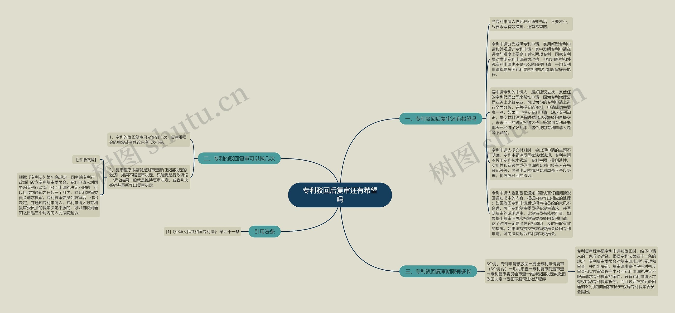 专利驳回后复审还有希望吗思维导图