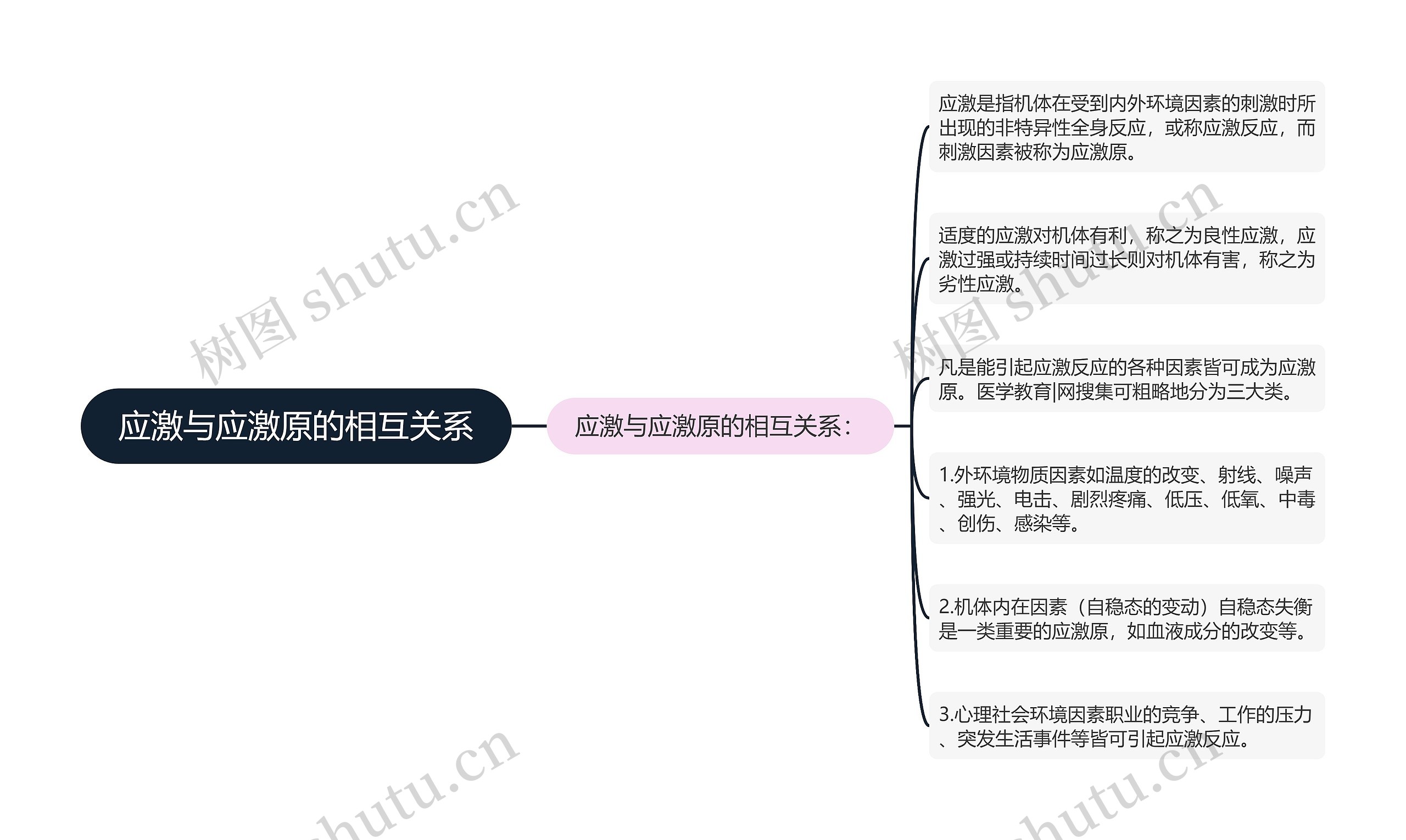 应激与应激原的相互关系思维导图